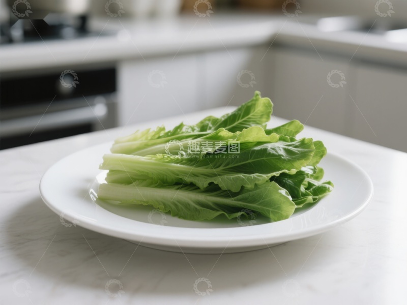 高清大图下载【趣麦麦图】新鲜生菜置于白色盘中