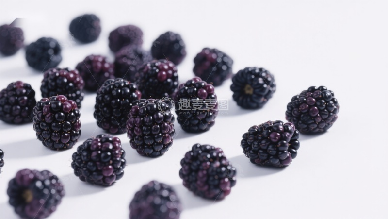 高清大图下载【趣麦麦图】新鲜黑莓散落于白色背景