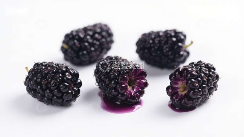 高清大图下载【趣麦麦图】新鲜黑莓特写，白色背景