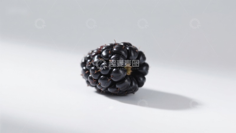 高清大图下载【趣麦麦图】新鲜黑莓静置于白色背景
