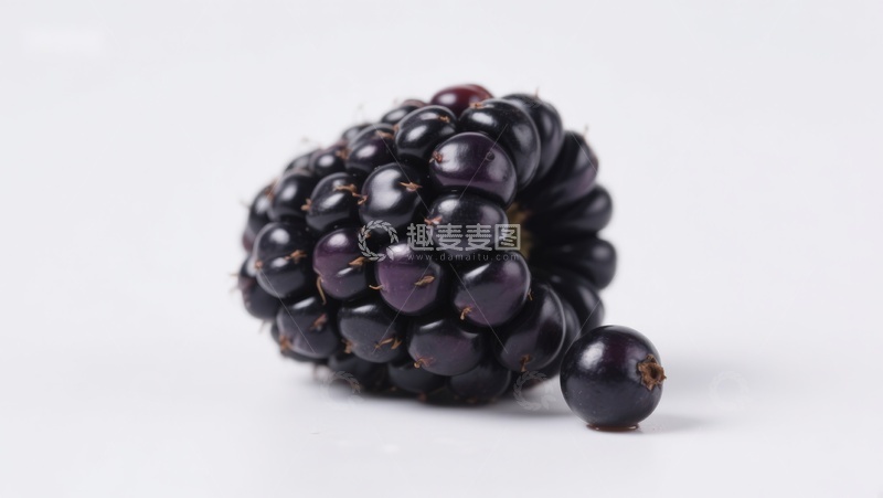 高清大图下载【趣麦麦图】新鲜黑莓特写