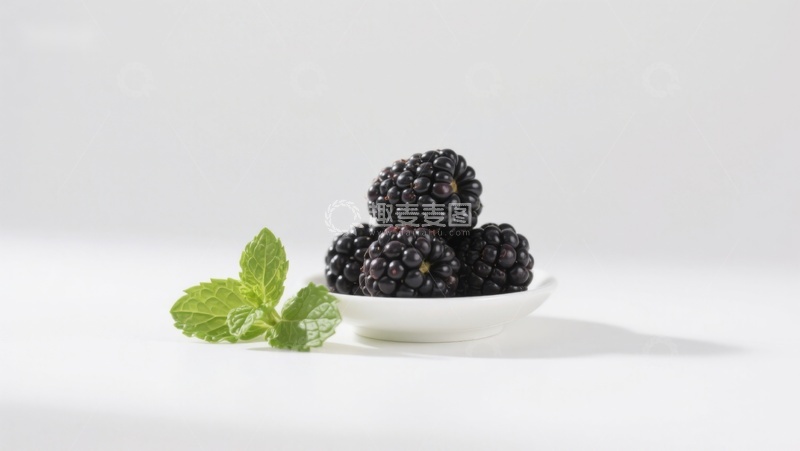 高清大图下载【趣麦麦图】新鲜黑莓配薄荷叶
