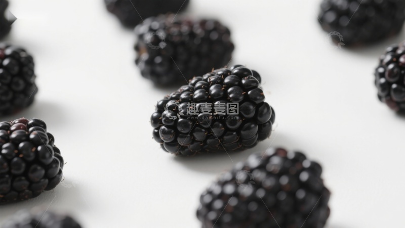 高清大图下载【趣麦麦图】新鲜黑莓散落白色背景