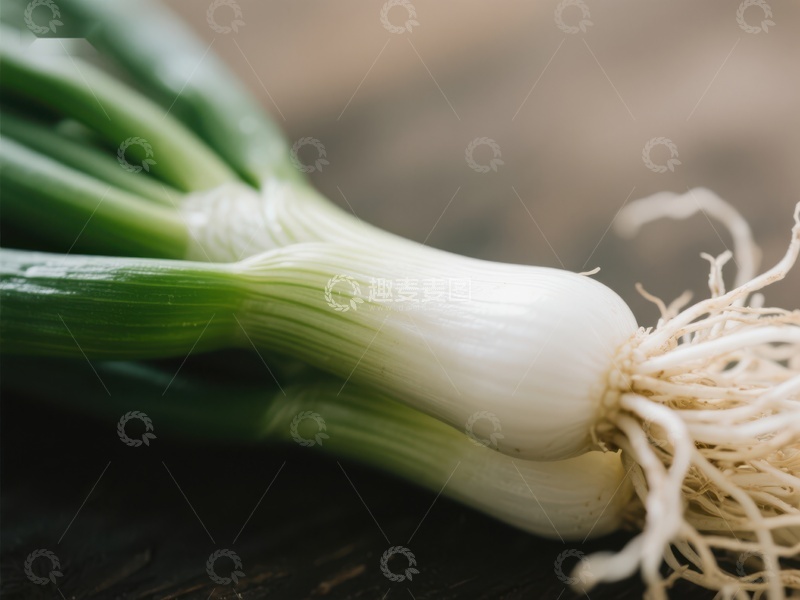 高清大图下载【趣麦麦图】新鲜大葱的特写