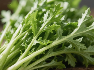 新鲜绿叶蔬菜特写