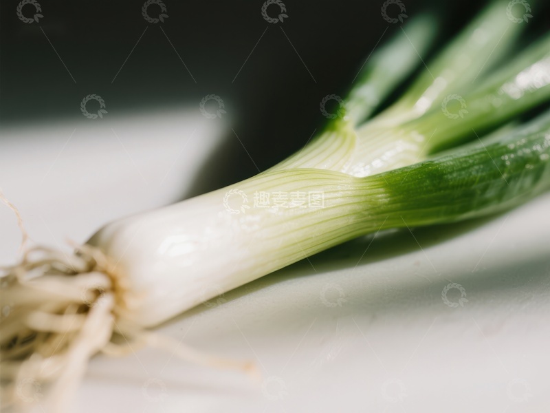 高清大图下载【趣麦麦图】新鲜葱段的特写
