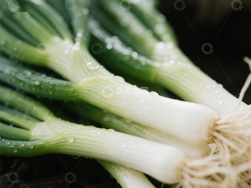 高清大图下载【趣麦麦图】新鲜葱段特写
