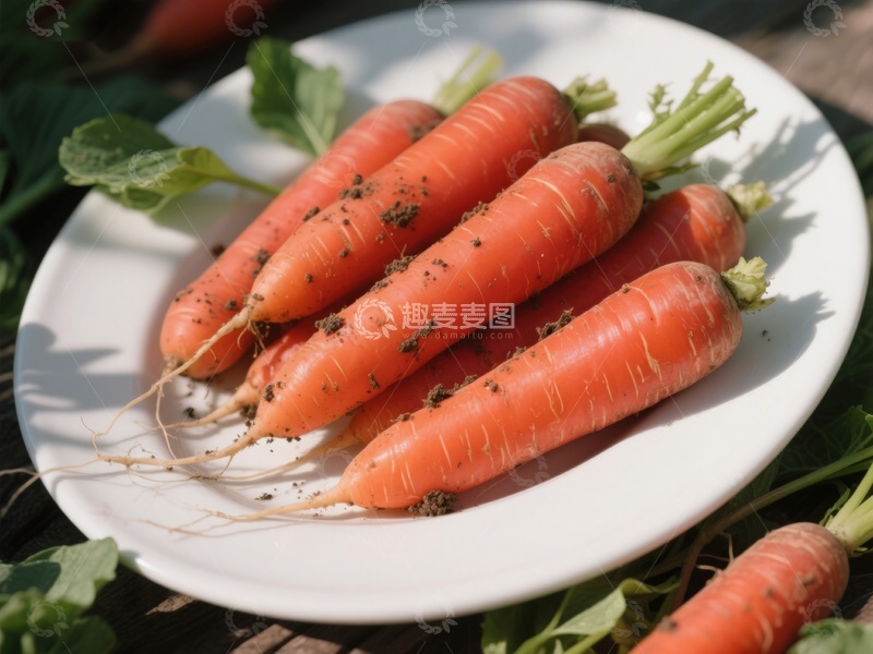 高清大图下载【趣麦麦图】新鲜胡萝卜盘中展示