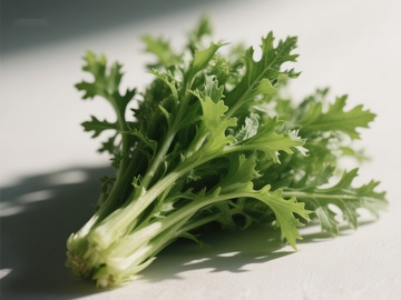 新鲜绿叶蔬菜特写