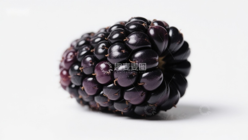 高清大图下载【趣麦麦图】新鲜黑莓特写