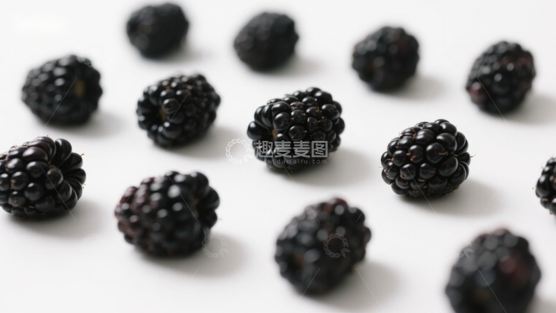 高清大图下载【趣麦麦图】新鲜黑莓散落白色背景