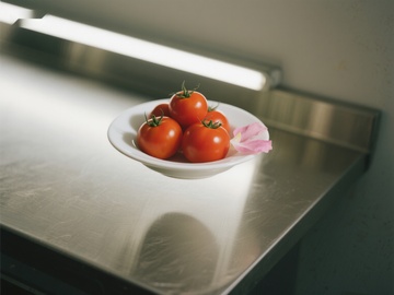 不锈钢台面上的番茄碗