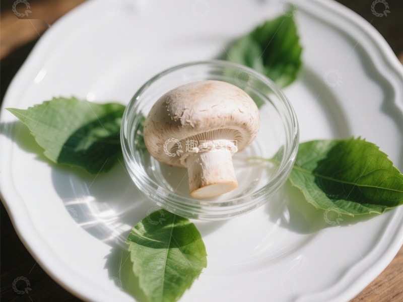 高清大图下载【趣麦麦图】玻璃碗中的蘑菇与绿叶
