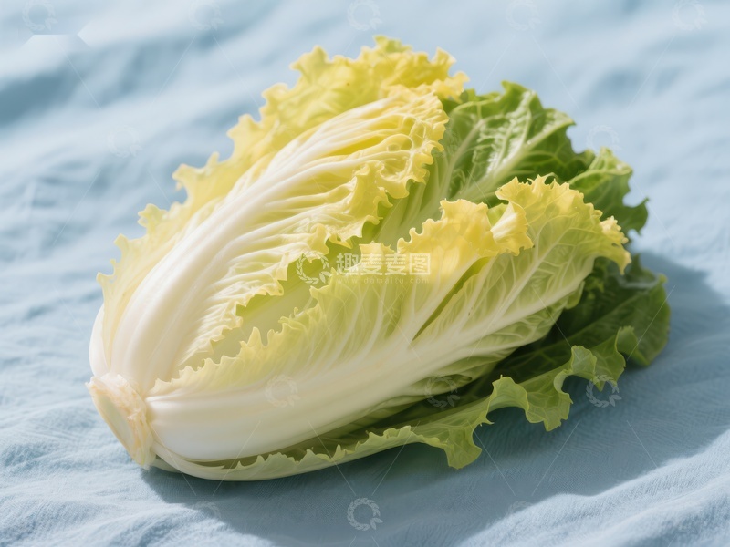 高清大图下载【趣麦麦图】新鲜白菜的特写