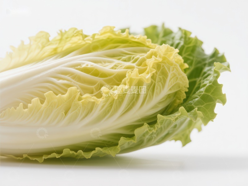 高清大图下载【趣麦麦图】新鲜白菜的特写
