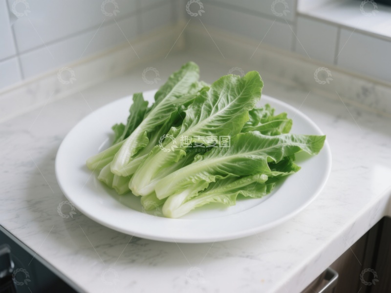 高清大图下载【趣麦麦图】新鲜生菜置于白色盘中