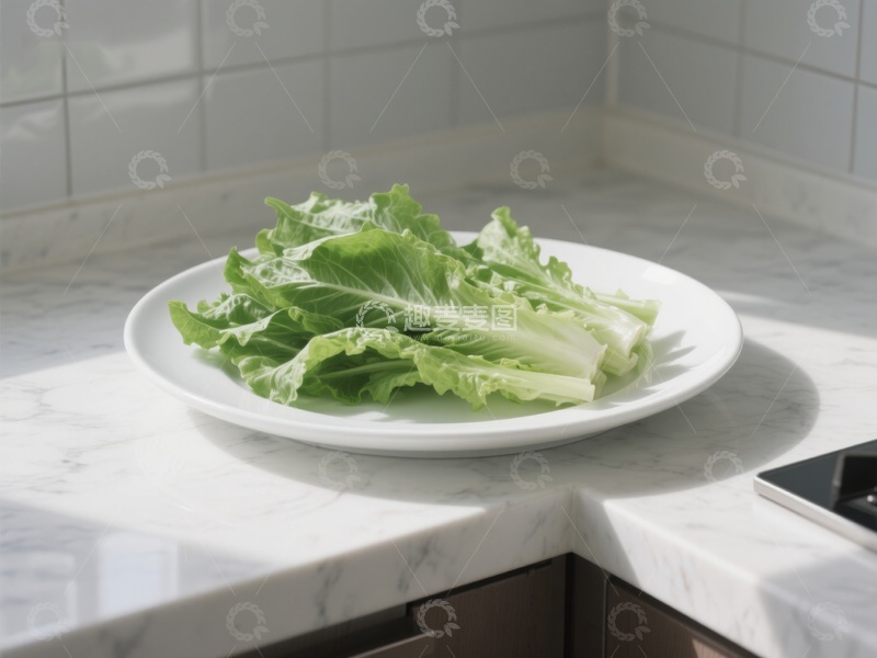 高清大图下载【趣麦麦图】生菜置于白色盘中，厨房台面背景