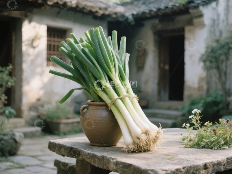 高清大图下载【趣麦麦图】新鲜葱束置于陶罐之上