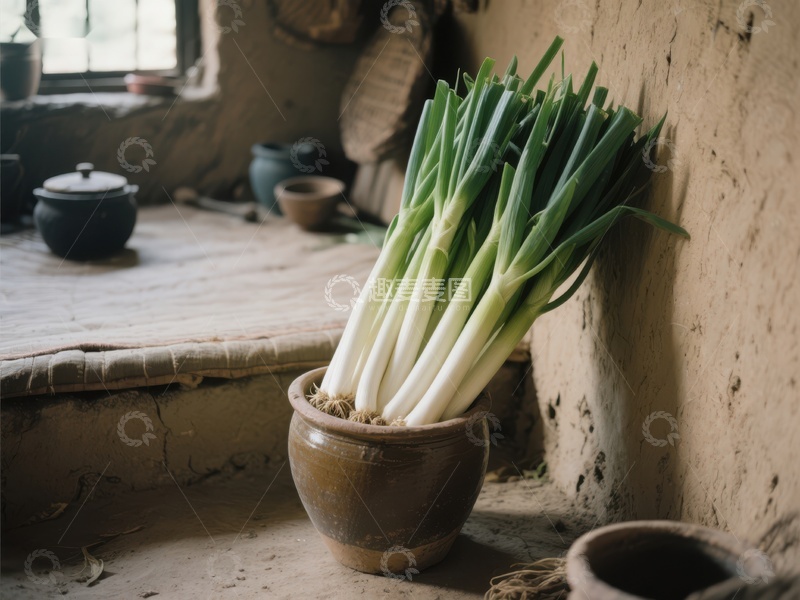 高清大图下载【趣麦麦图】陶盆中的新鲜葱苗