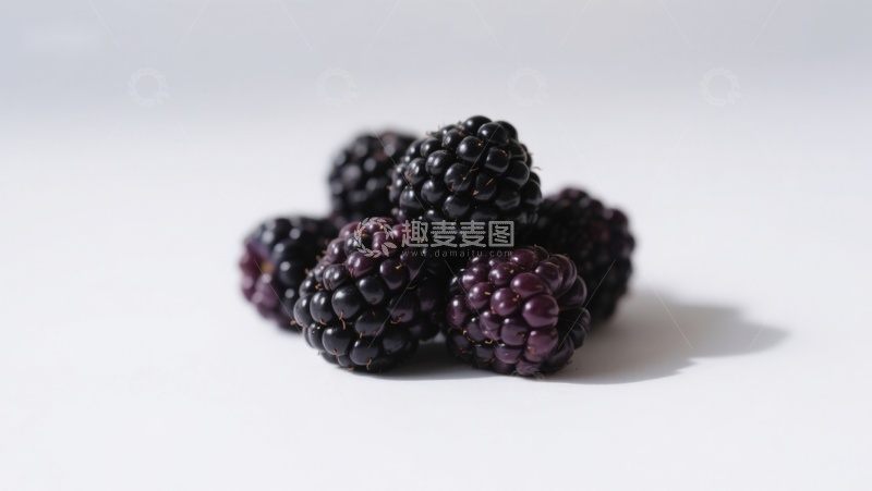 高清大图下载【趣麦麦图】新鲜黑莓静物特写