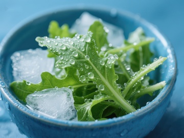 冰镇绿叶蔬菜的清新特写