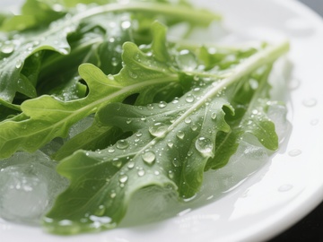新鲜绿叶蔬菜上的水珠