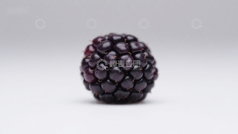 高清大图下载【趣麦麦图】新鲜黑莓特写