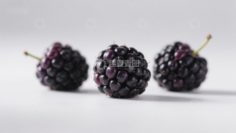 高清大图下载【趣麦麦图】三颗黑莓果的特写