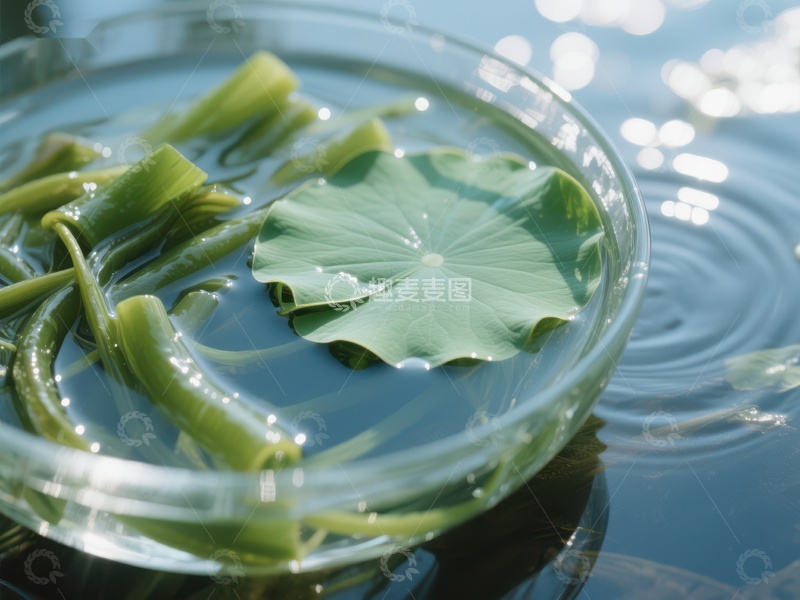 高清大图下载【趣麦麦图】荷叶漂浮于水面，光影交错