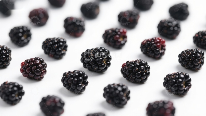 高清大图下载【趣麦麦图】新鲜黑莓整齐排列