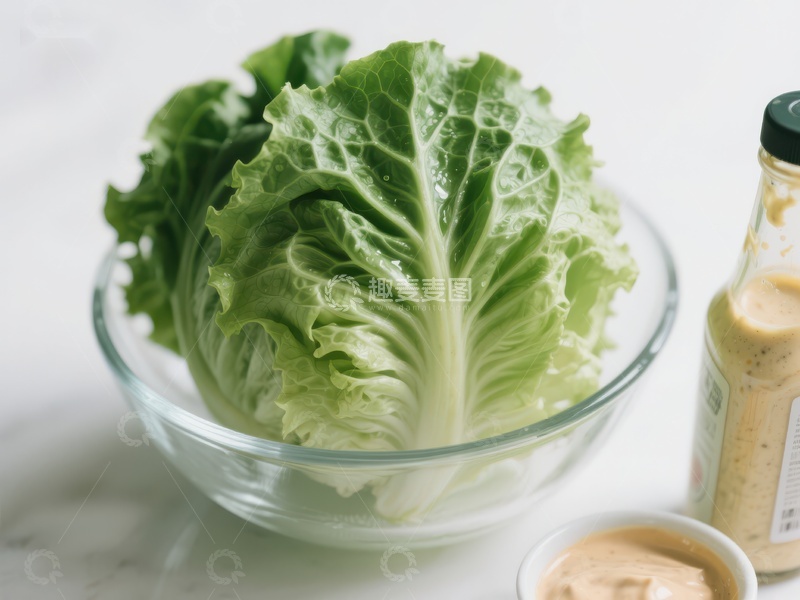高清大图下载【趣麦麦图】新鲜生菜与调味酱的搭配