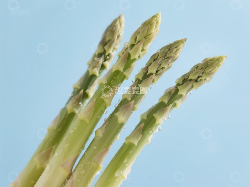 高清大图下载【趣麦麦图】新鲜芦笋特写