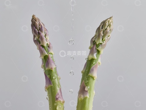 新鲜芦笋滴水特写