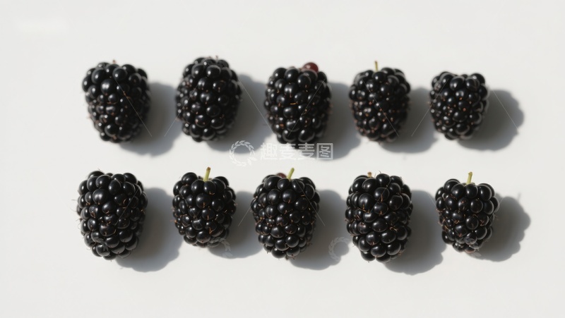 高清大图下载【趣麦麦图】整齐排列的黑莓果实