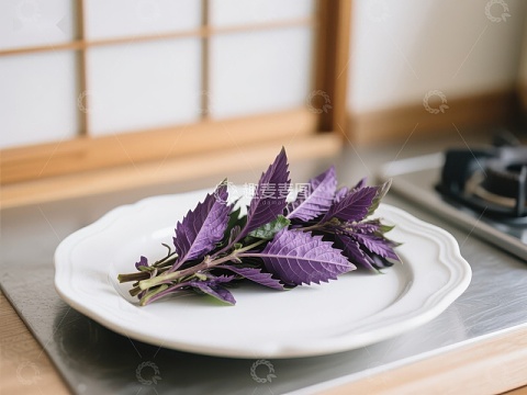 紫色香草置于白色盘中