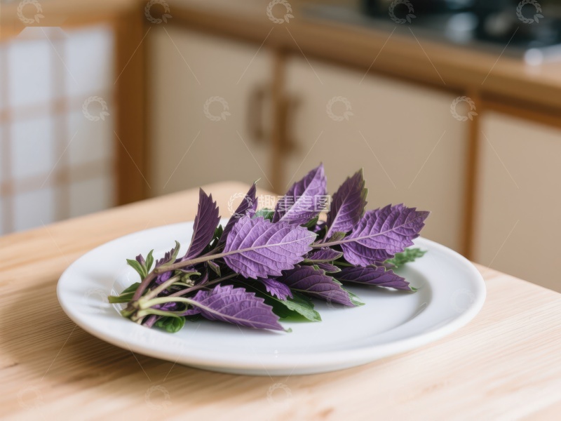 高清大图下载【趣麦麦图】紫色香草置于白色盘中