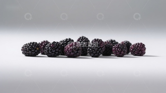 新鲜黑莓排列在灰色背景上