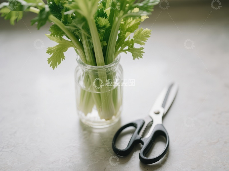 高清大图下载【趣麦麦图】芹菜置于玻璃瓶中，旁置剪刀
