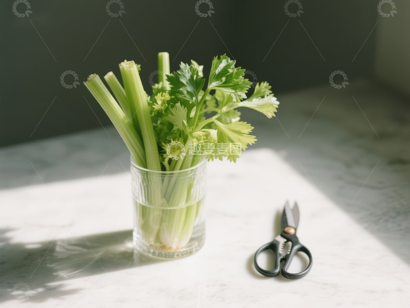 高清大图下载【趣麦麦图】玻璃杯中的芹菜与剪刀