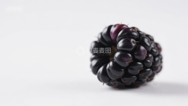 高清大图下载【趣麦麦图】新鲜黑莓特写