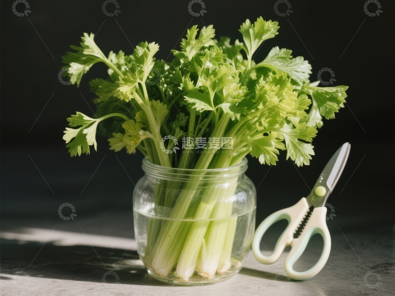 新鲜芹菜置于玻璃罐中