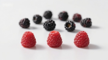 红莓与黑莓的对比排列