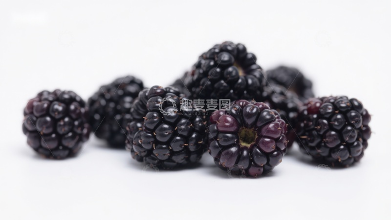 高清大图下载【趣麦麦图】新鲜黑莓特写