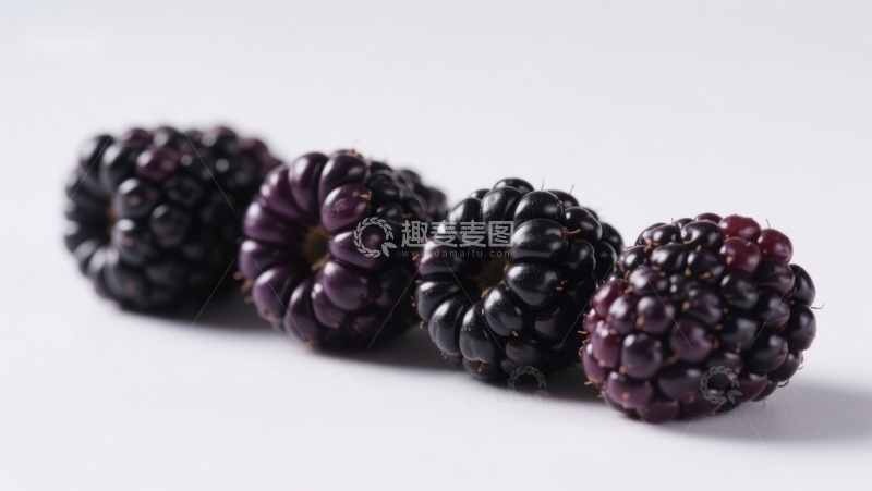 高清大图下载【趣麦麦图】新鲜黑莓排列在白色背景上