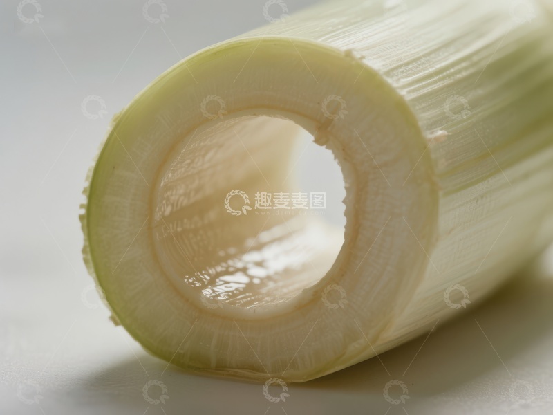 高清大图下载【趣麦麦图】新鲜切面的植物茎部特写