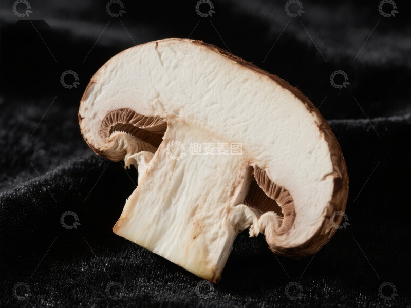 高清大图下载【趣麦麦图】切开的蘑菇特写