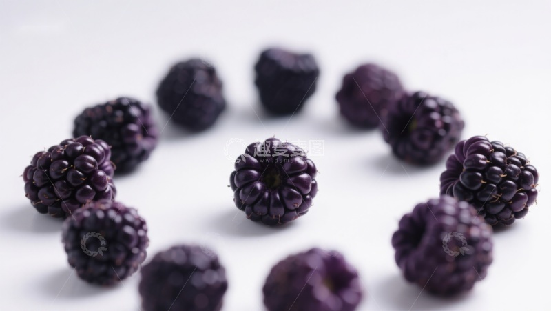 高清大图下载【趣麦麦图】新鲜黑莓排列在白色背景上
