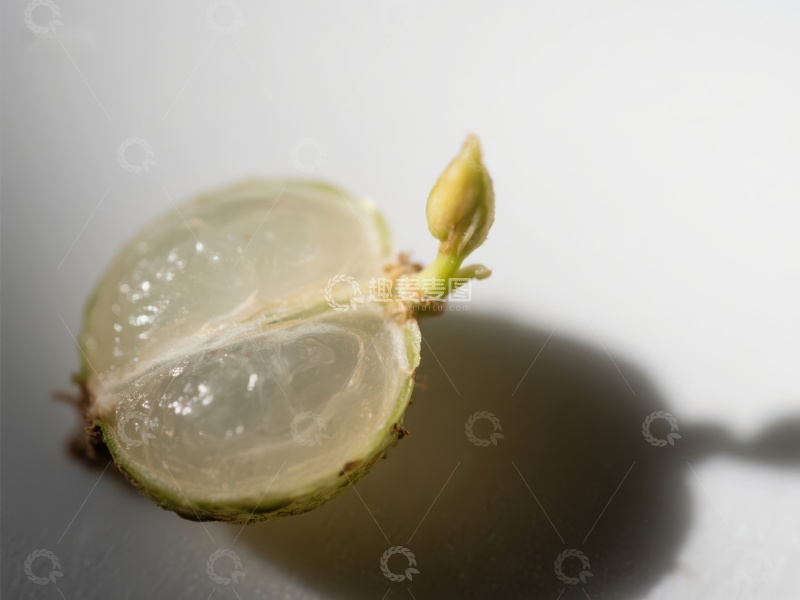 高清大图下载【趣麦麦图】发芽的柠檬半截特写