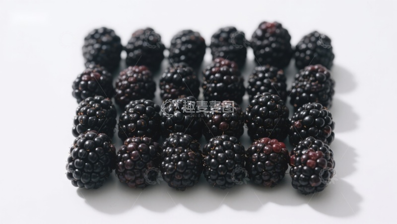高清大图下载【趣麦麦图】新鲜黑莓整齐排列