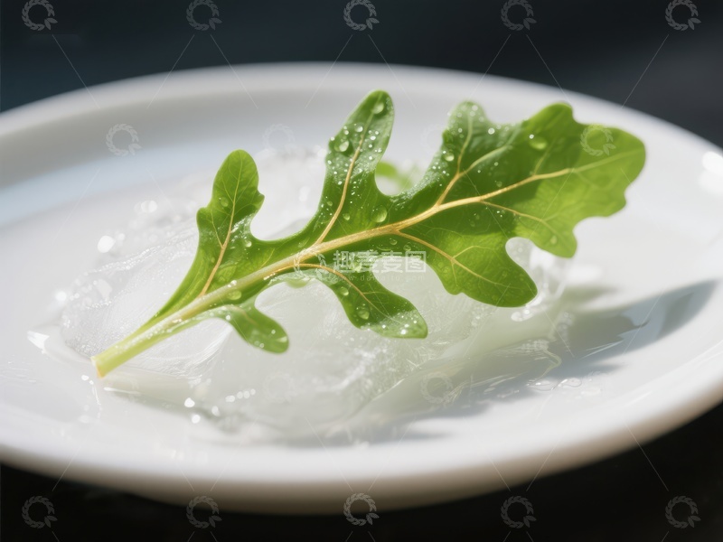 高清大图下载【趣麦麦图】冰块上的新鲜绿叶